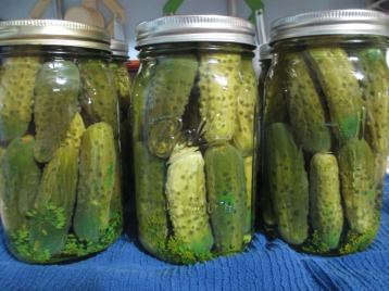 Canning_Pickles