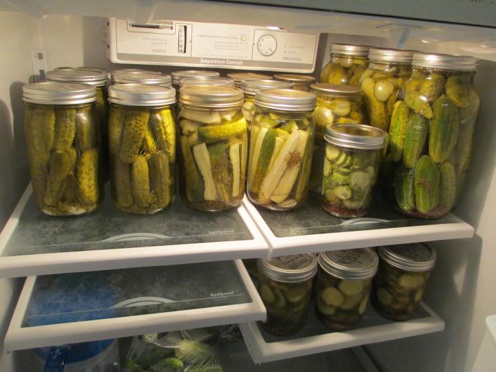 CAnning_pickles2